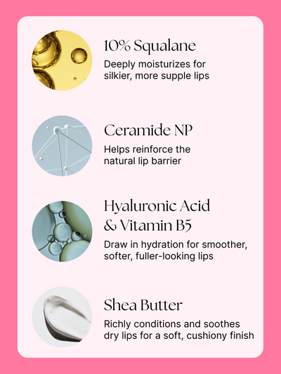 paloma --  infographic