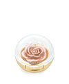 Cheeky Rose Highlighter